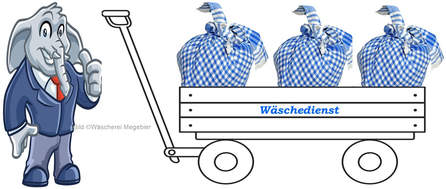 Start Bild_Logistik_Waescherei Megebier